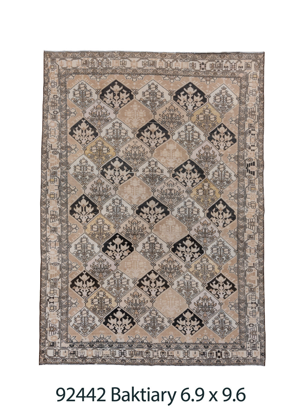 C92442 Rug