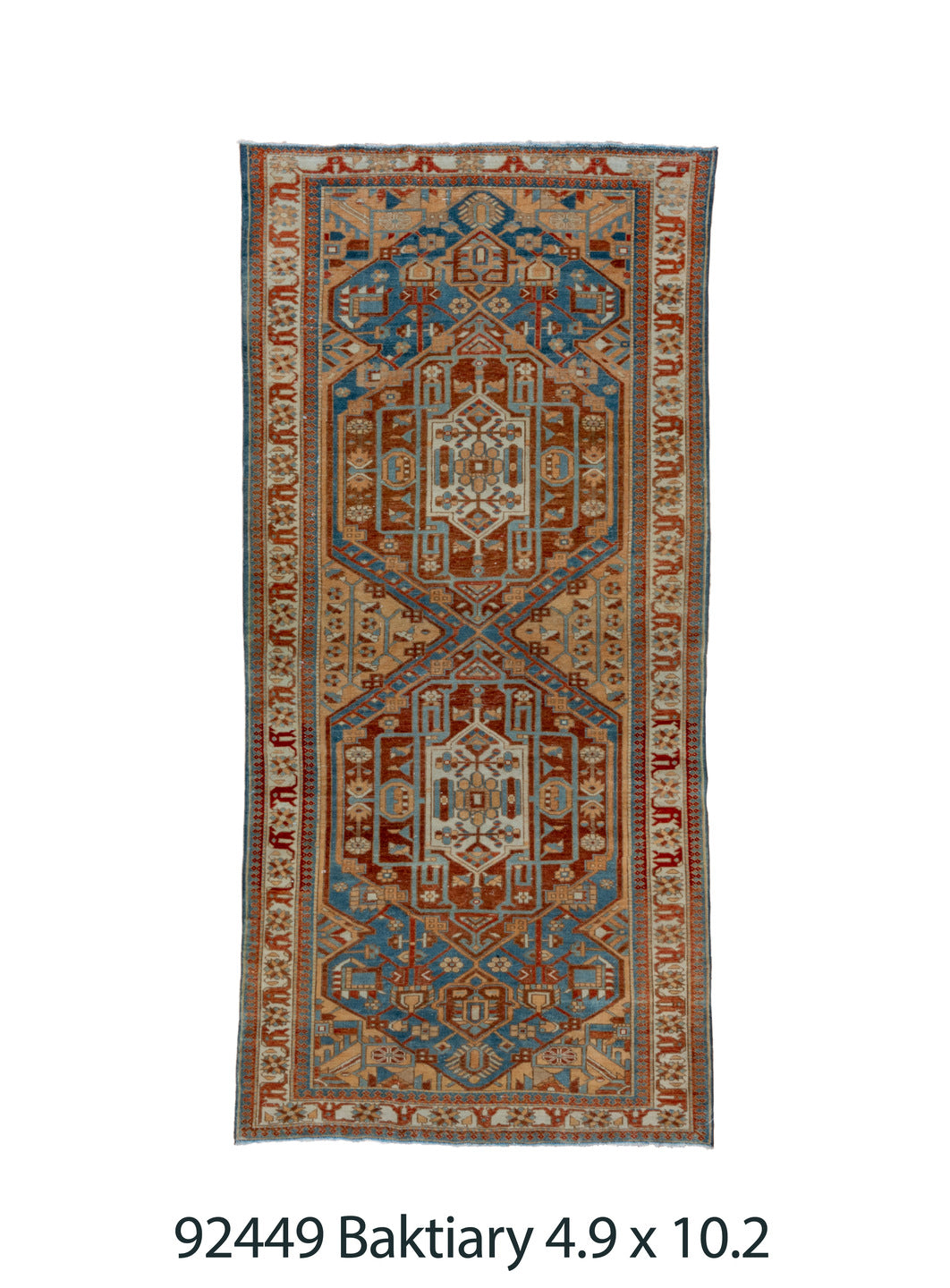 C92449 Rug