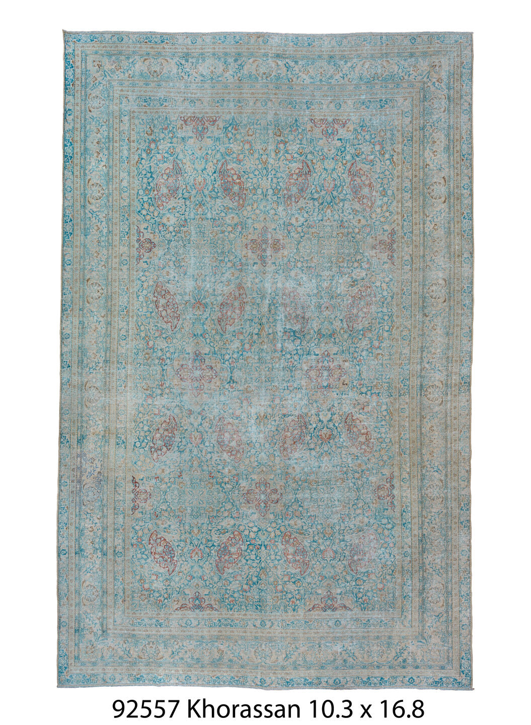 C92557 Rug