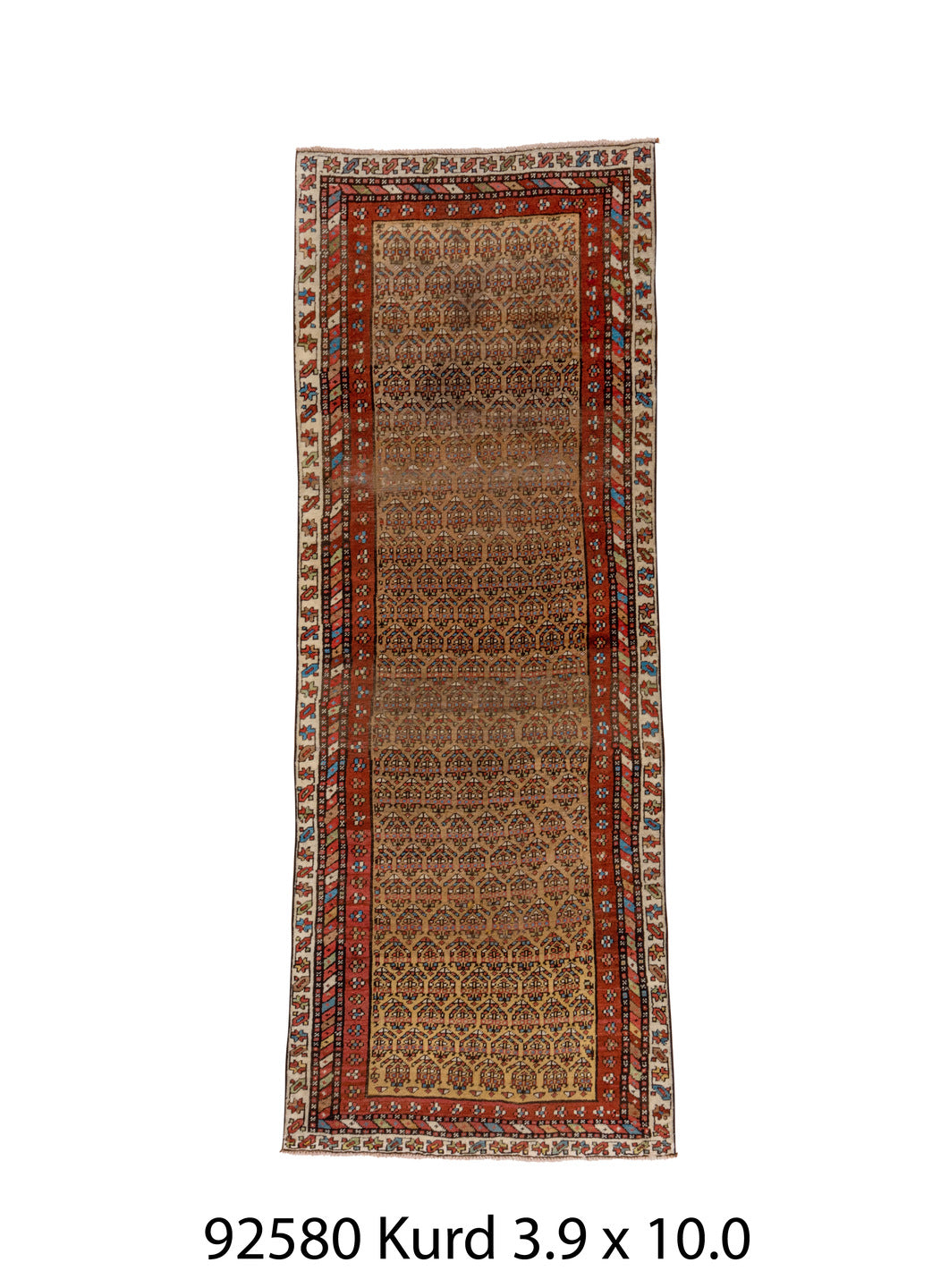 C92580 Rug