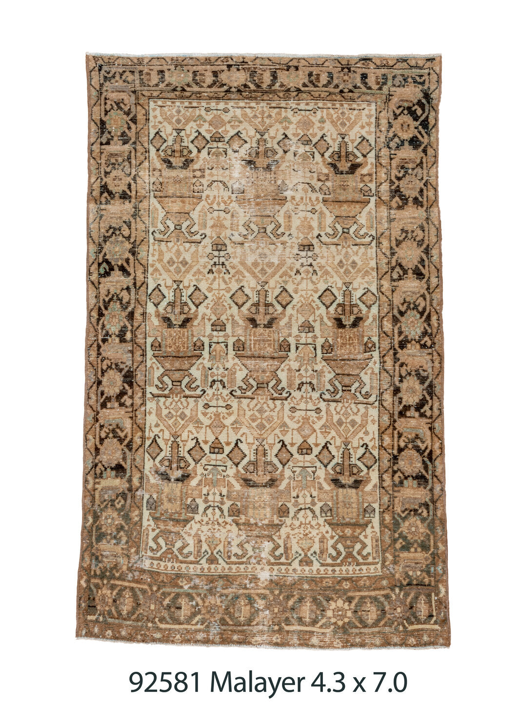 C92581 Rug
