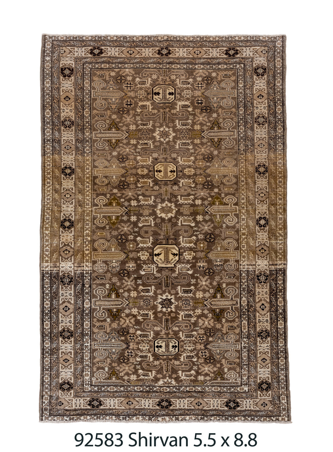 C92583 Rug