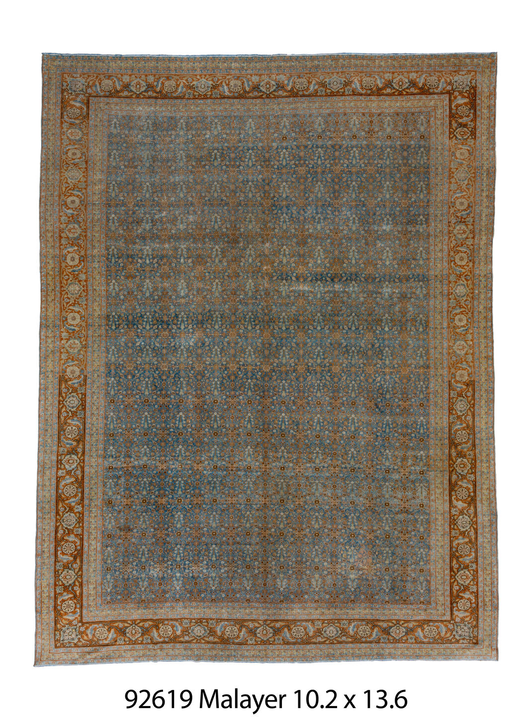 C92619 Rug