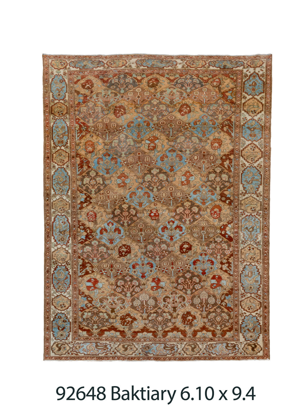 C92648 Rug