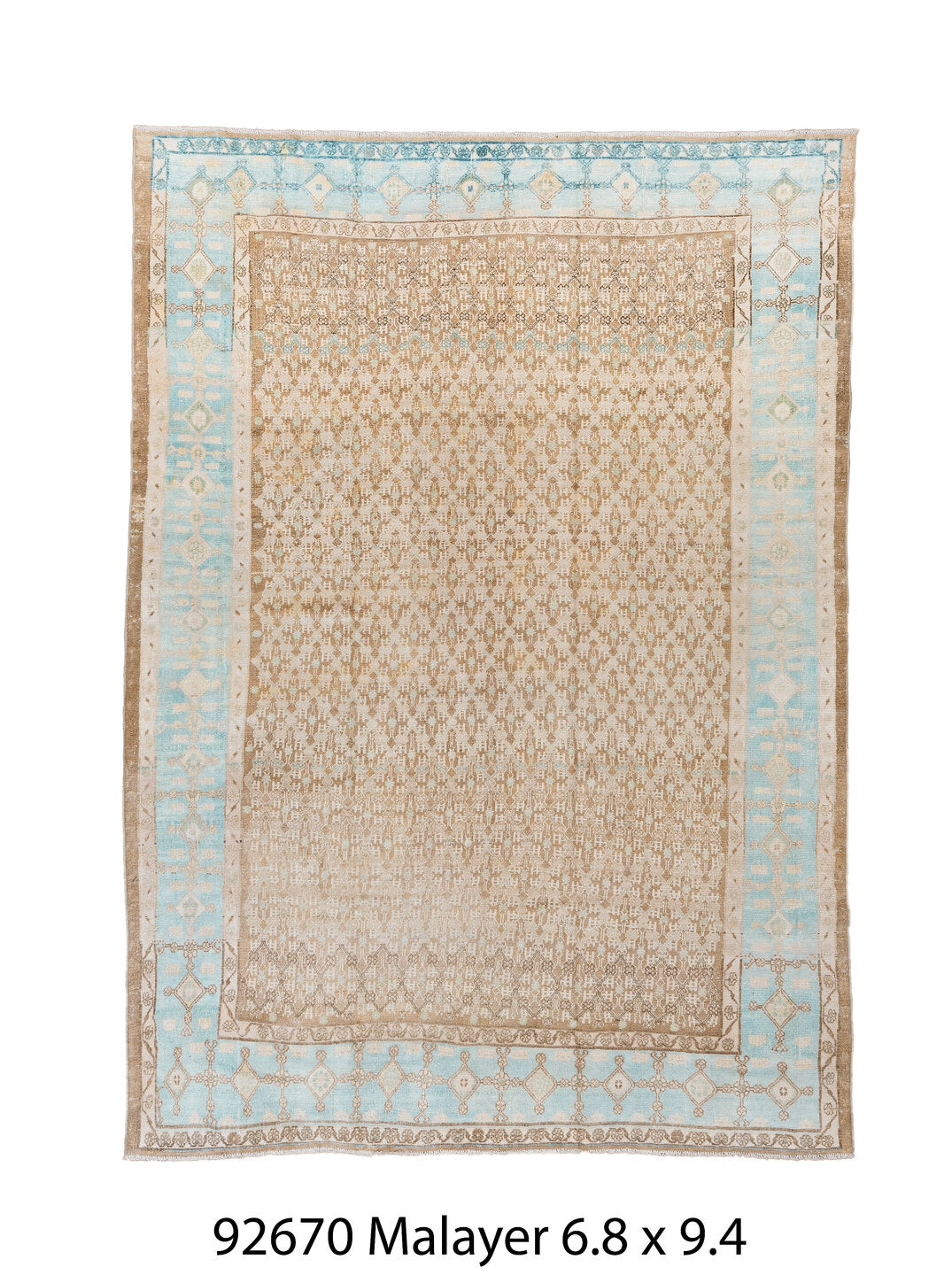 C92670 Rug