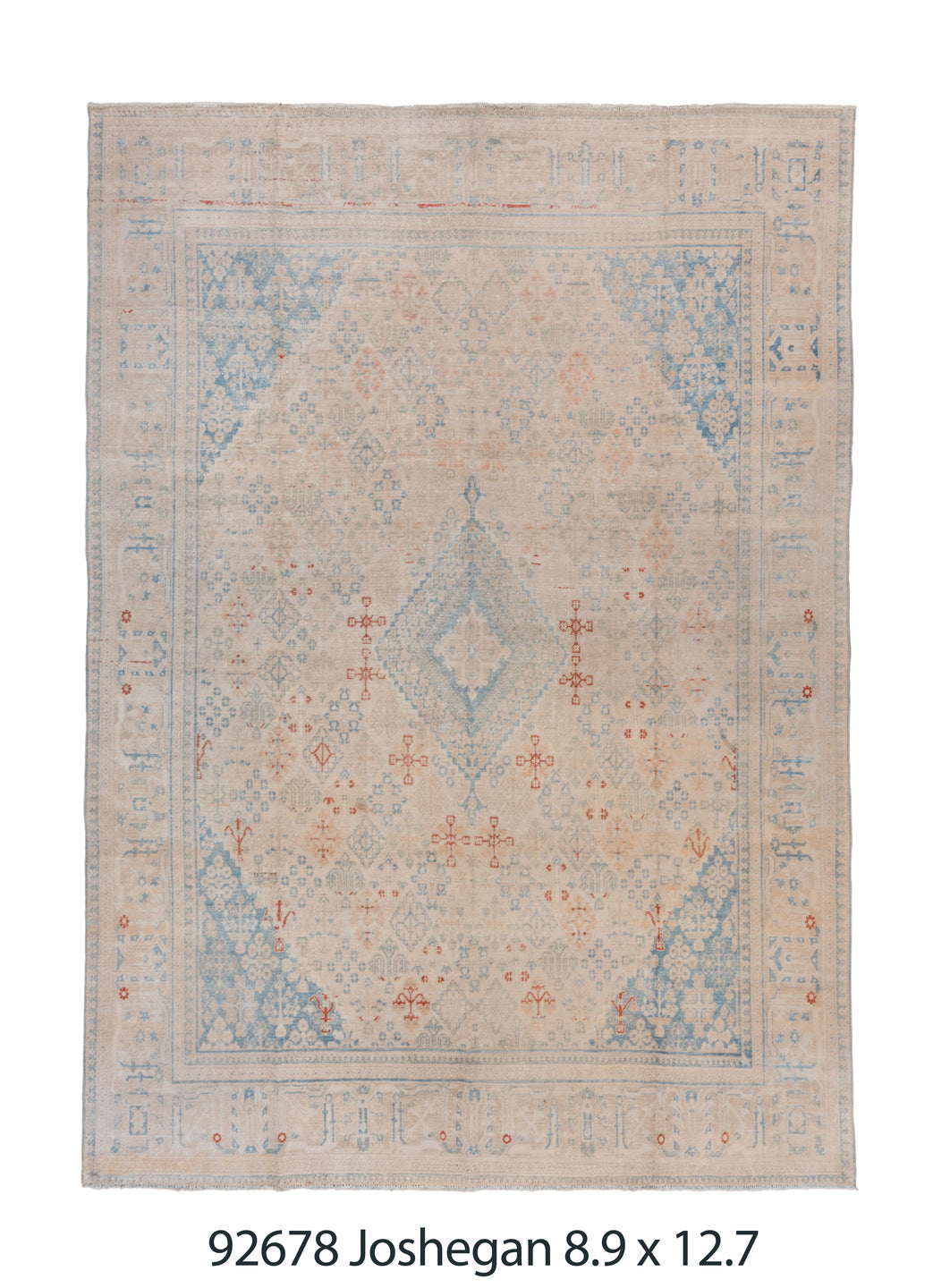 C92678 Rug