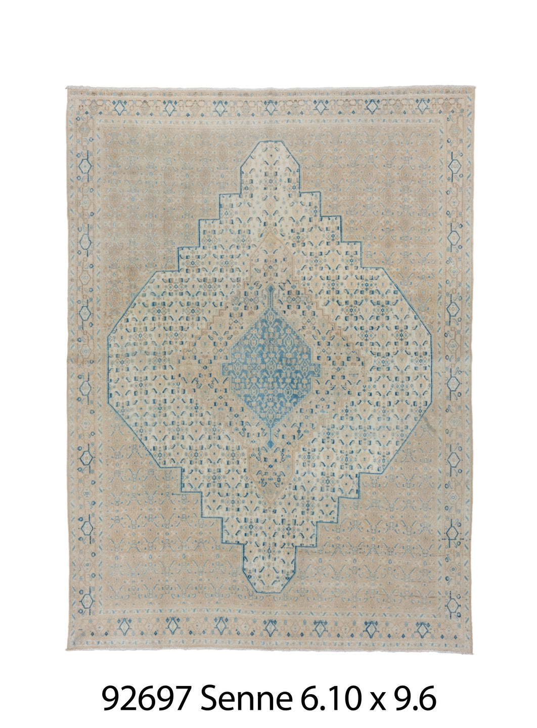 C92697 Rug