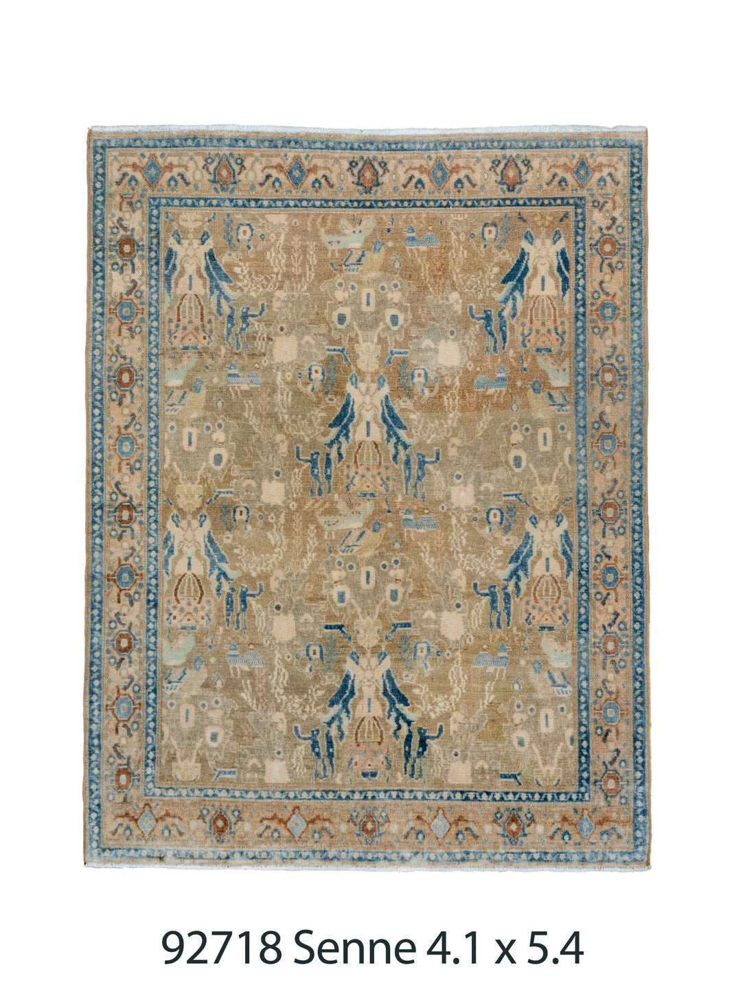 C92718 Rug