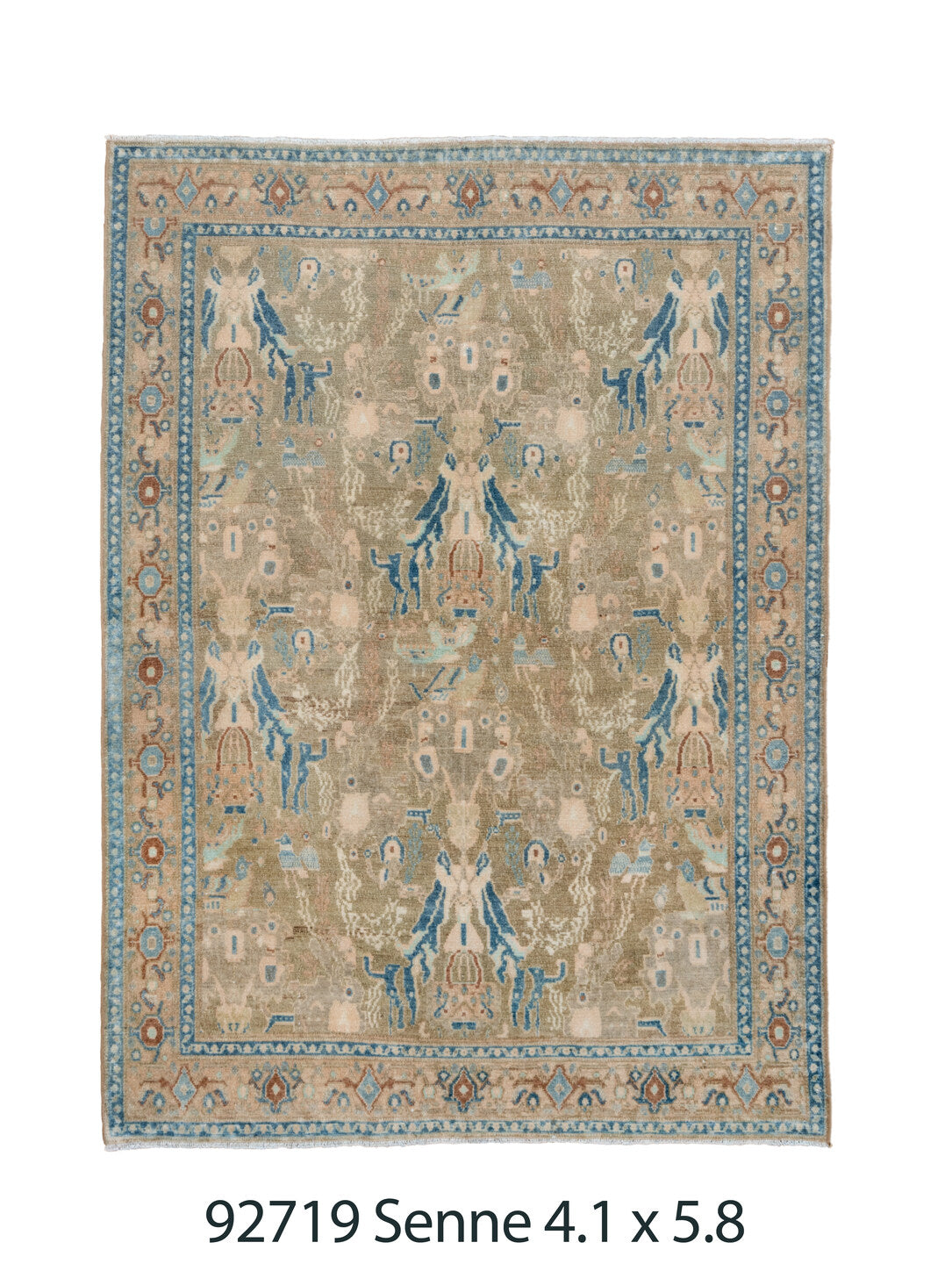 C92719 Rug