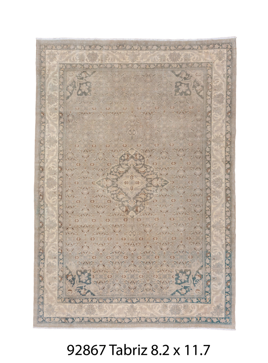 C92867 Rug