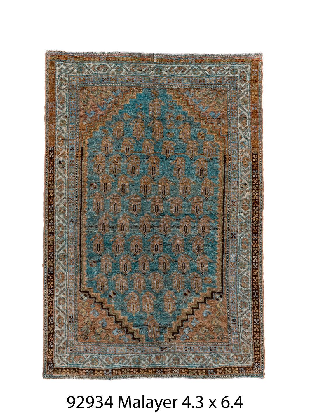 C92934 Rug