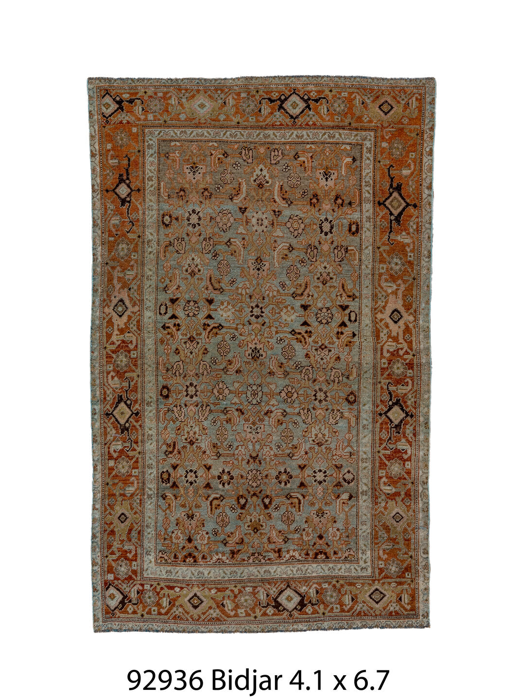 C92936 Rug