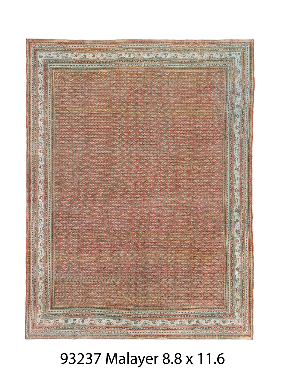 C93237 Rug