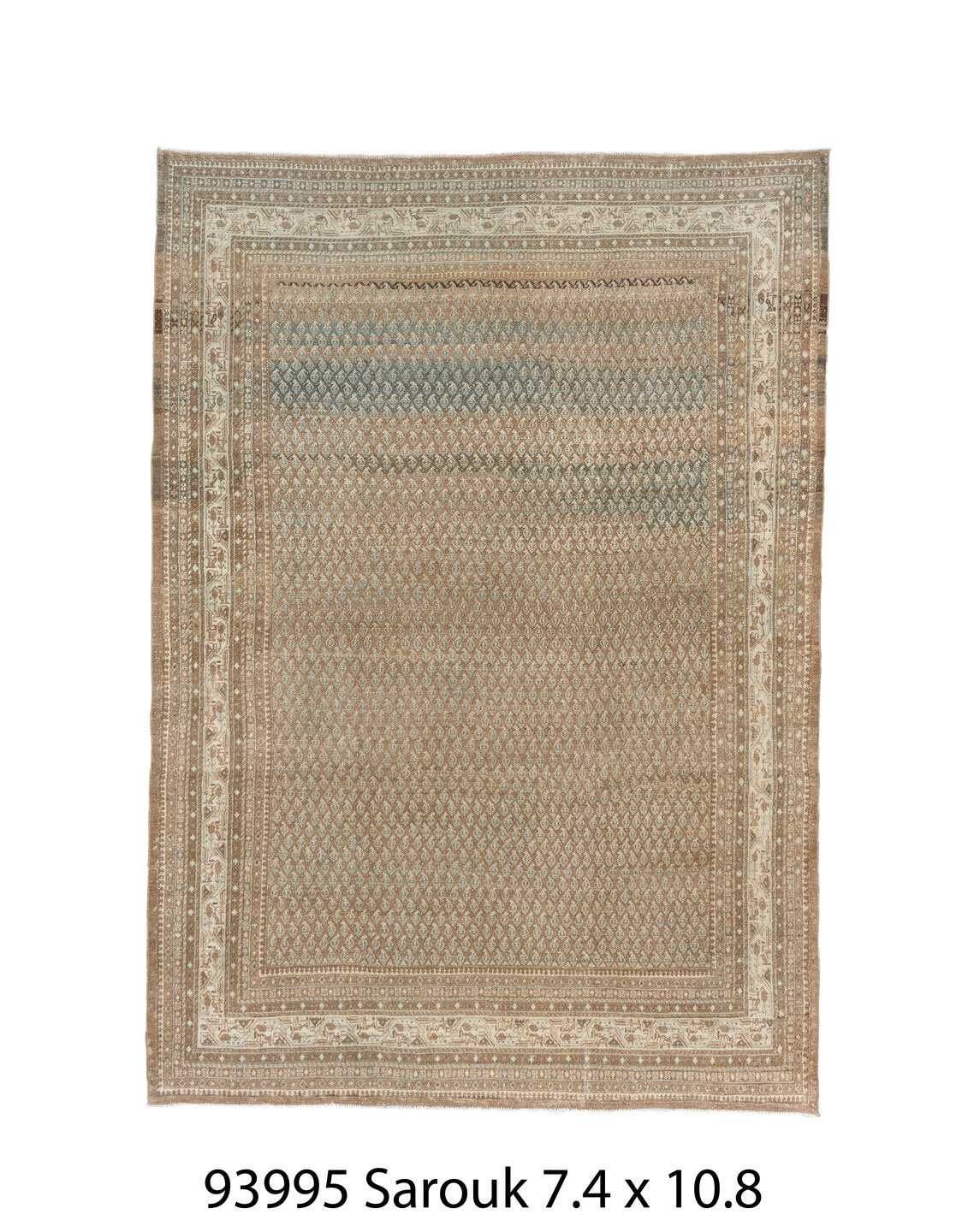 C93995 Rug