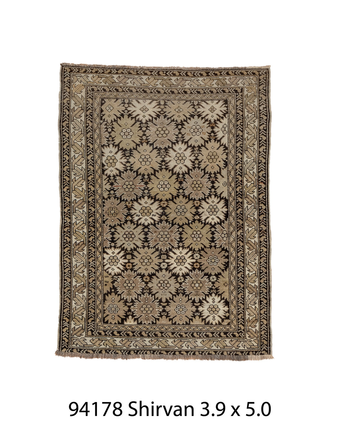 C94178 Rug