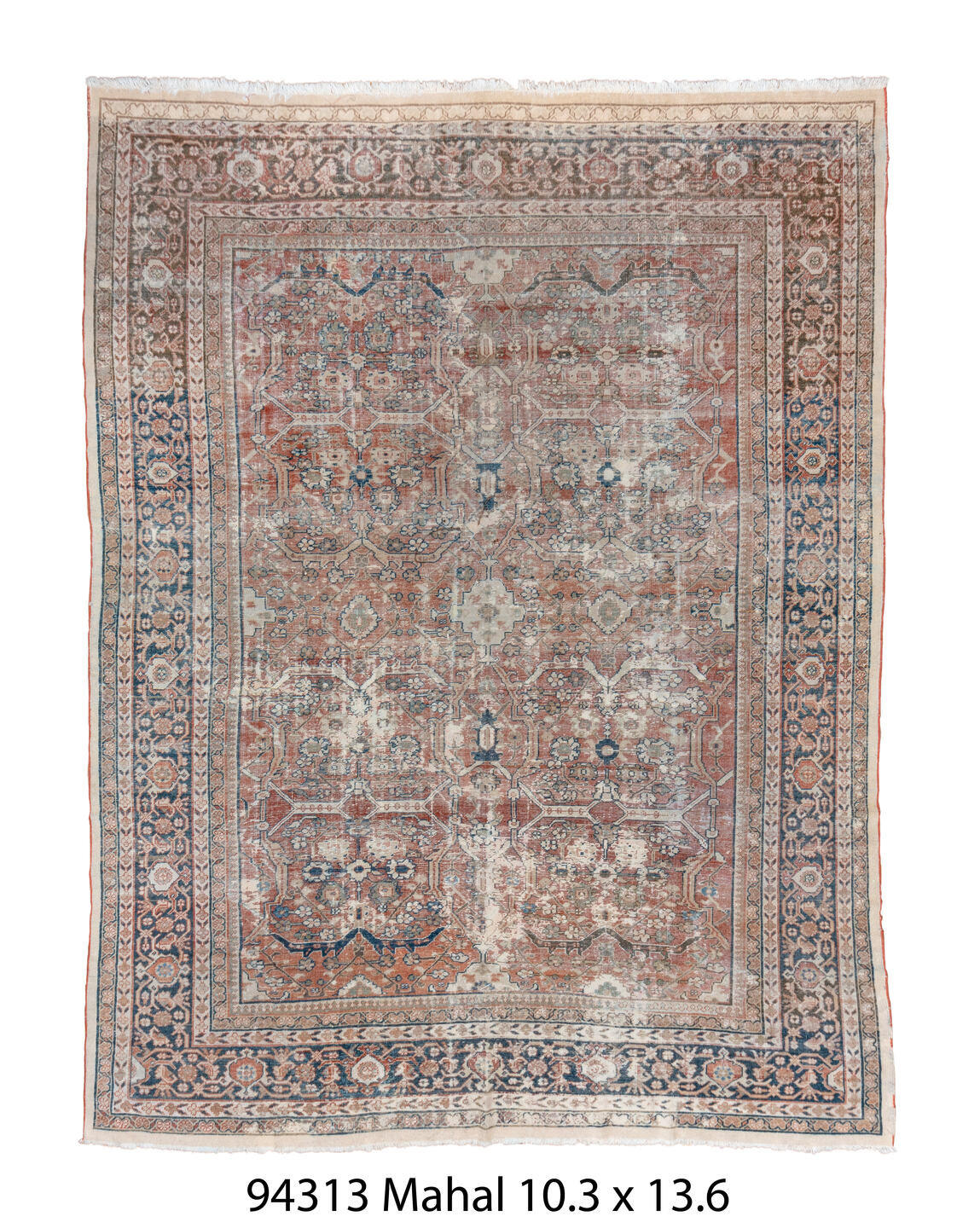 C94313 Rug