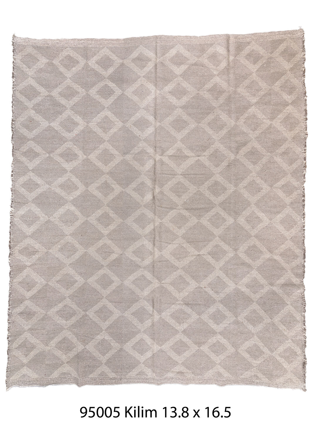 095005 Rug