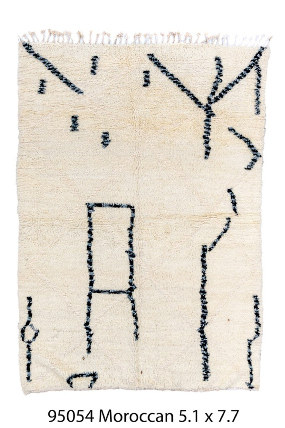 095054 Rug