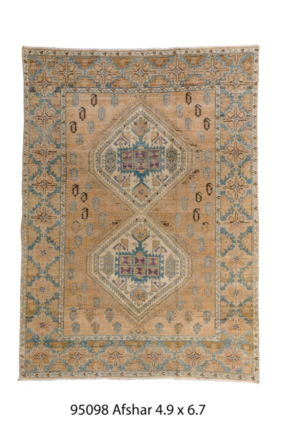 095098 Rug
