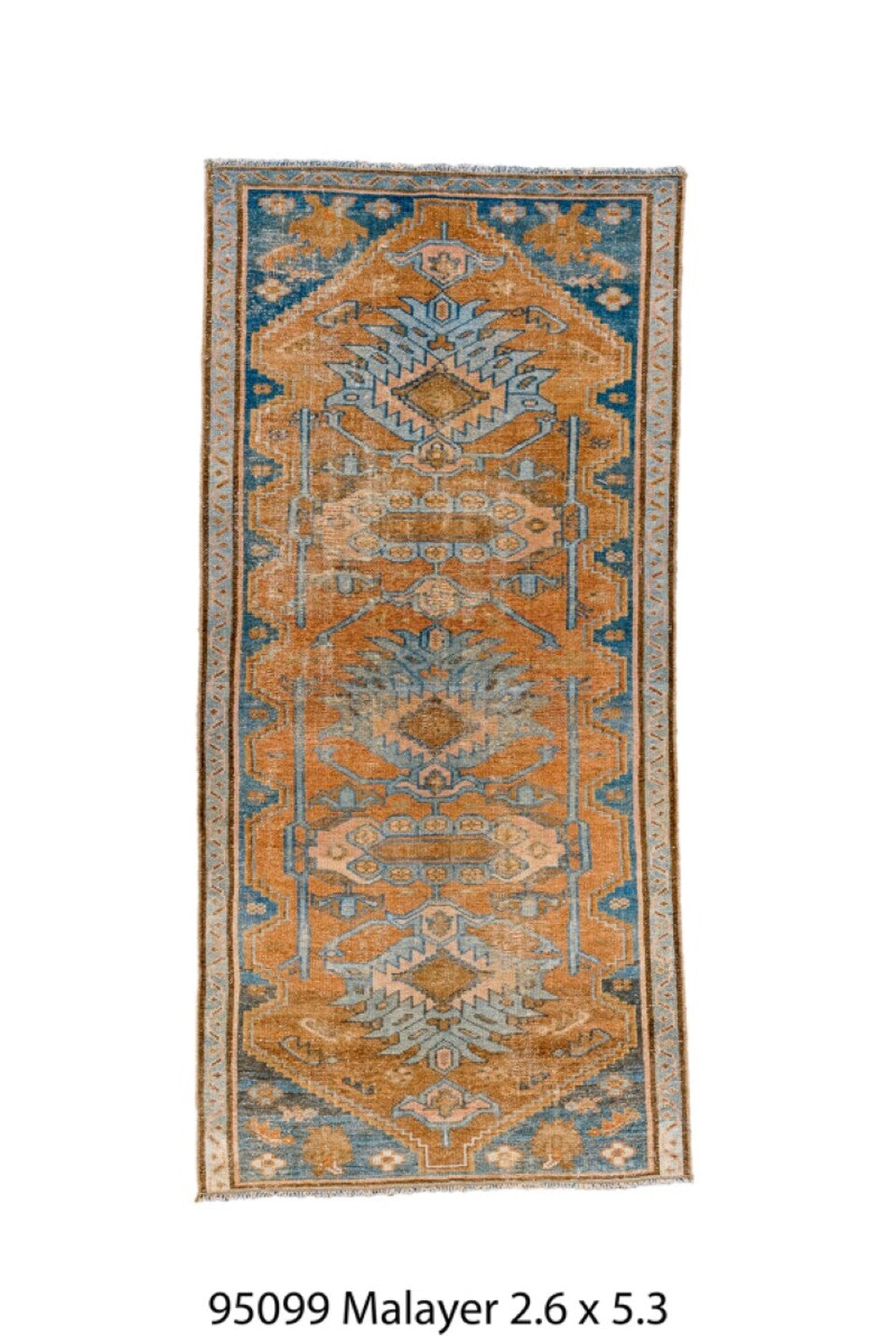 095099 Rug