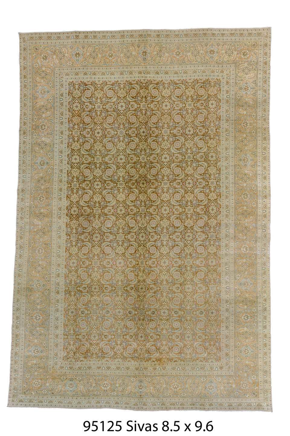 095125 Rug
