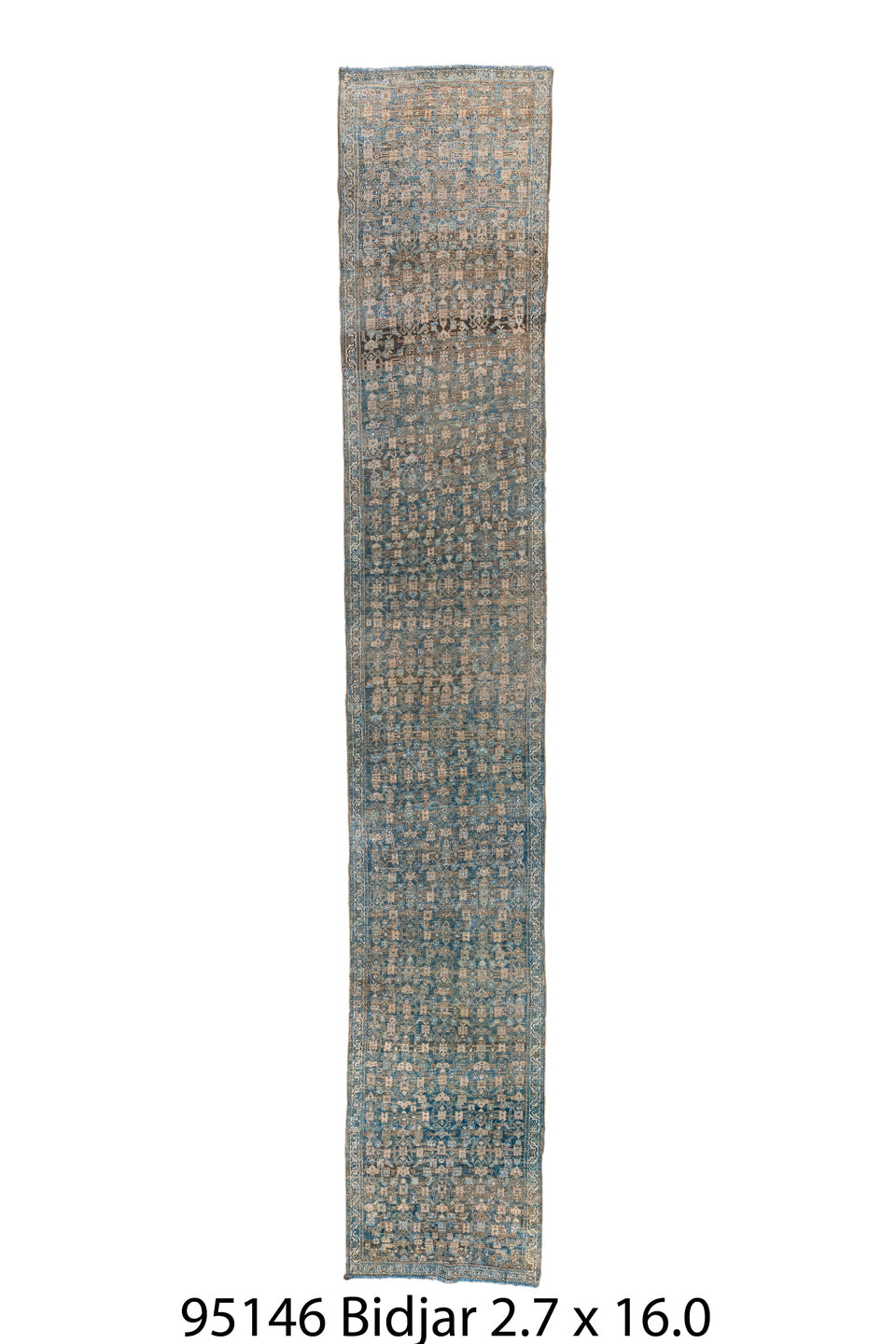 095146 Rug