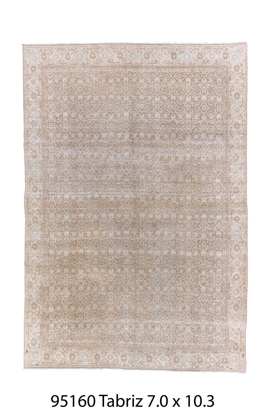 095160 Rug