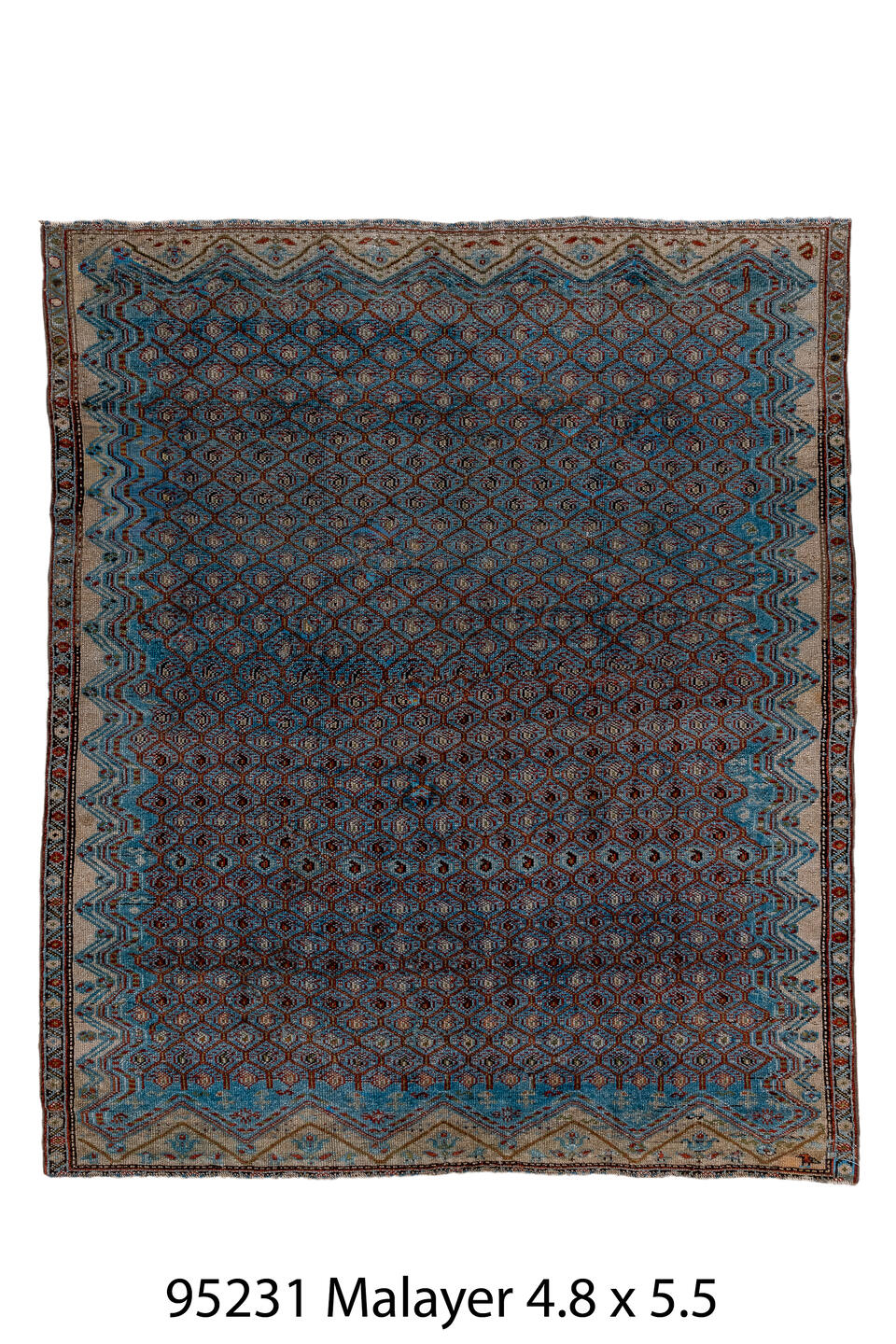 095231 Rug