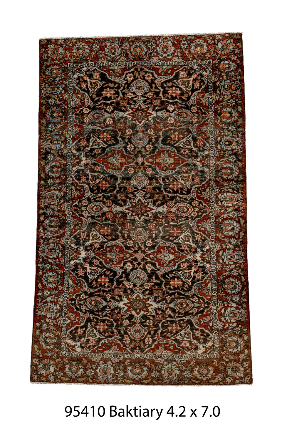 095410 Rug