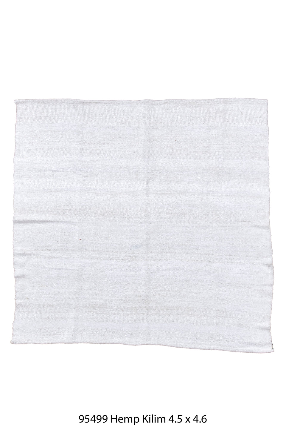 095499 Rug