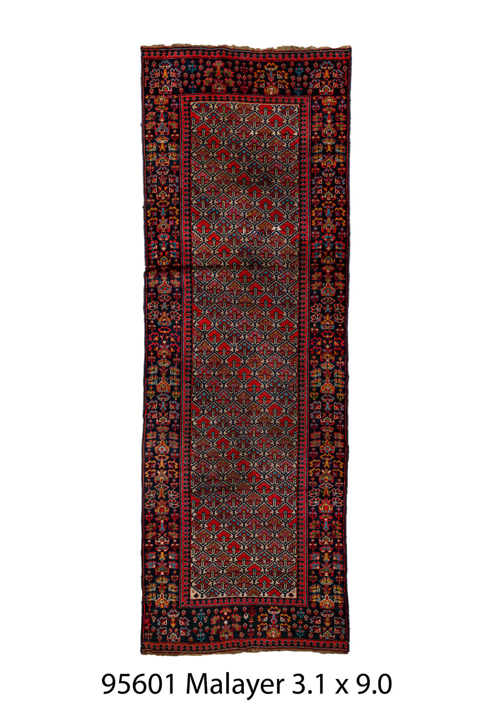 095601 Rug