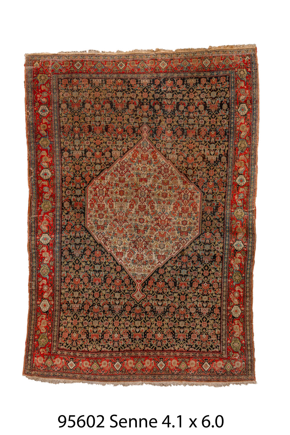 095602 Rug