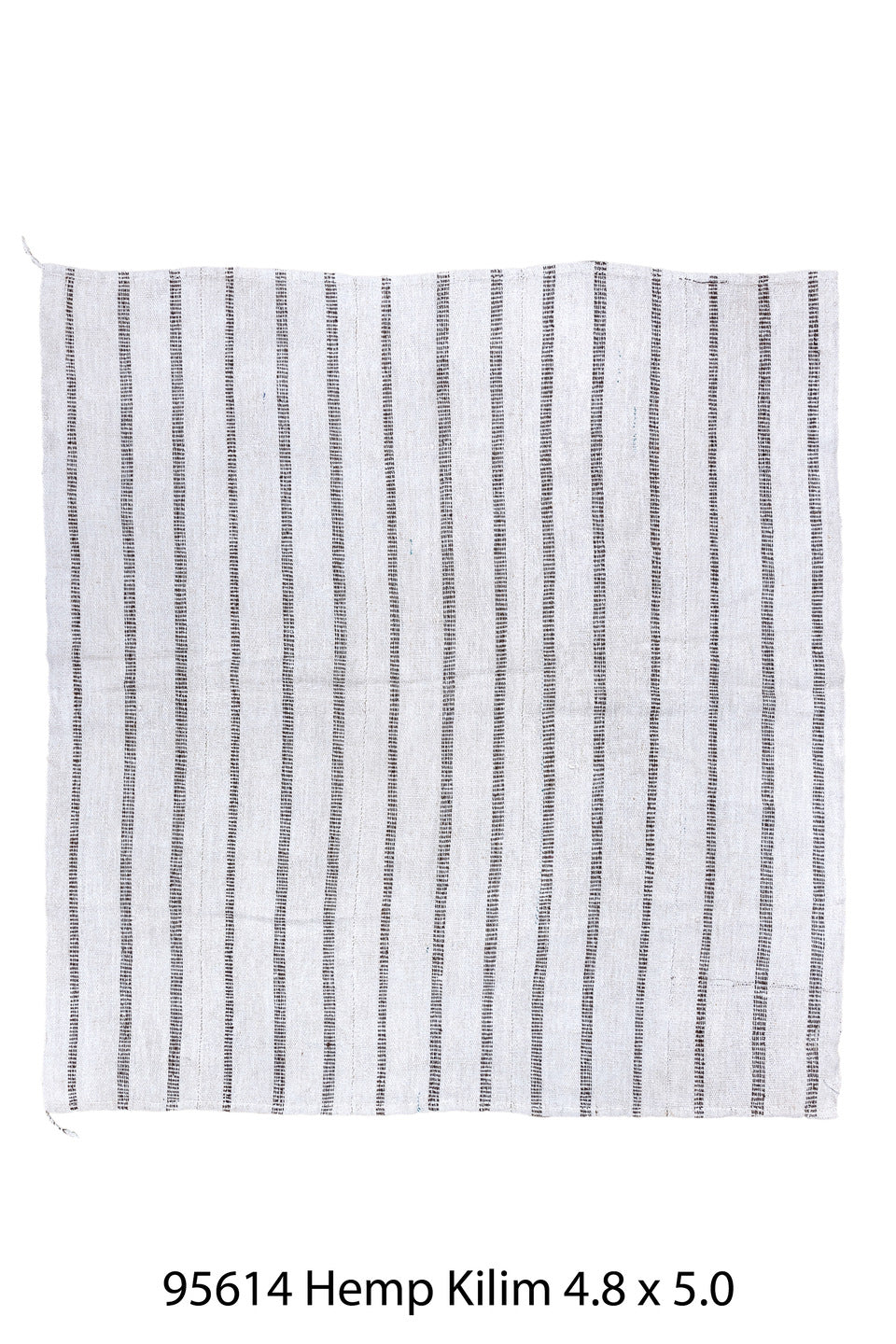 095614 Rug