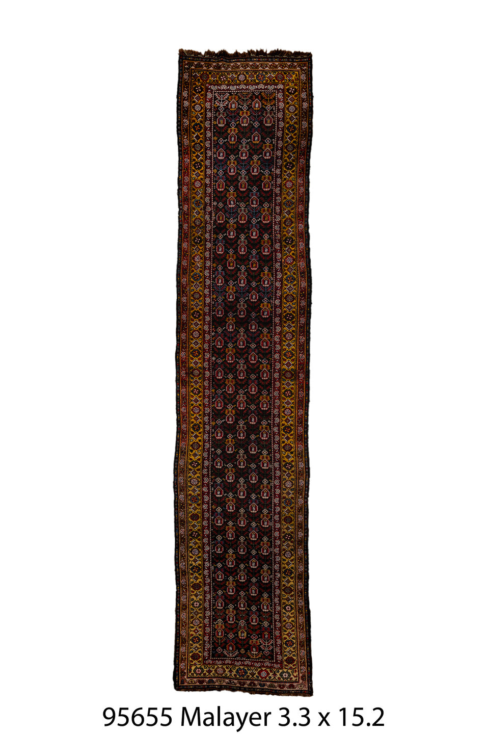 095655 Rug
