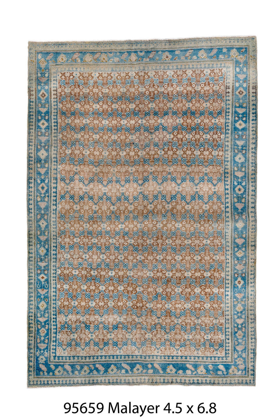 095659 Rug
