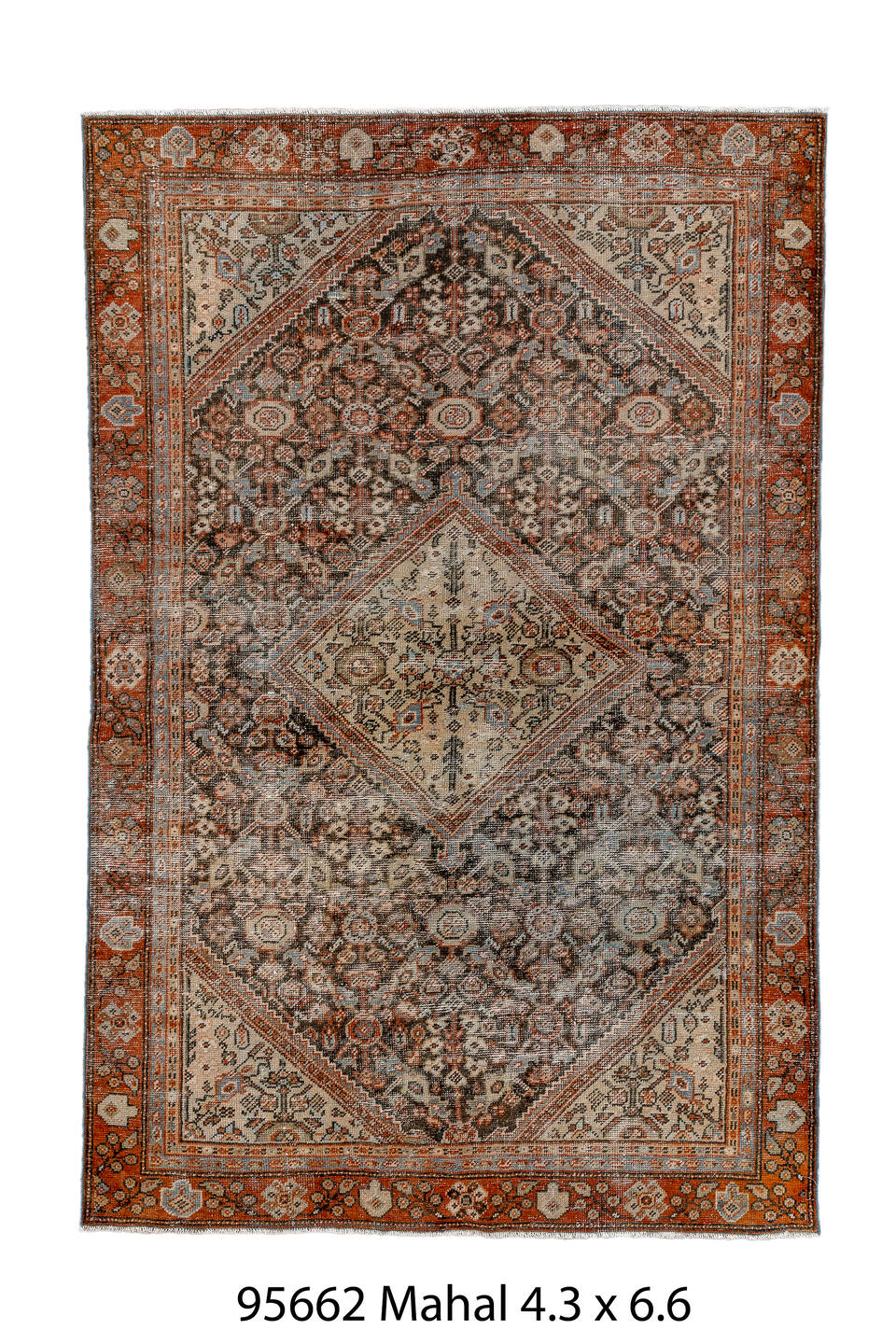 095662 Rug