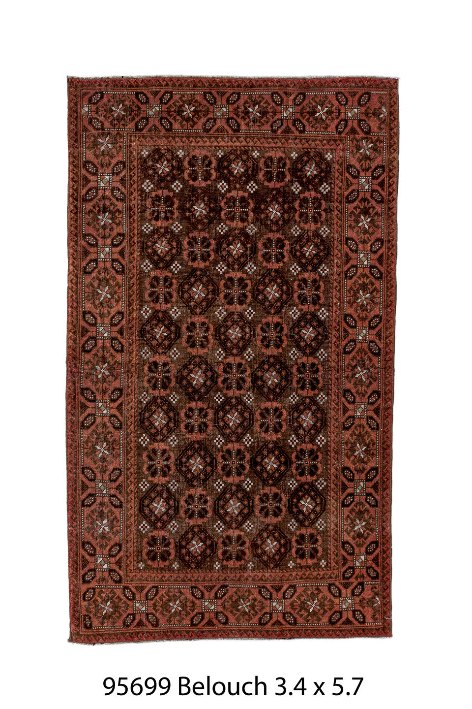 095699 Rug