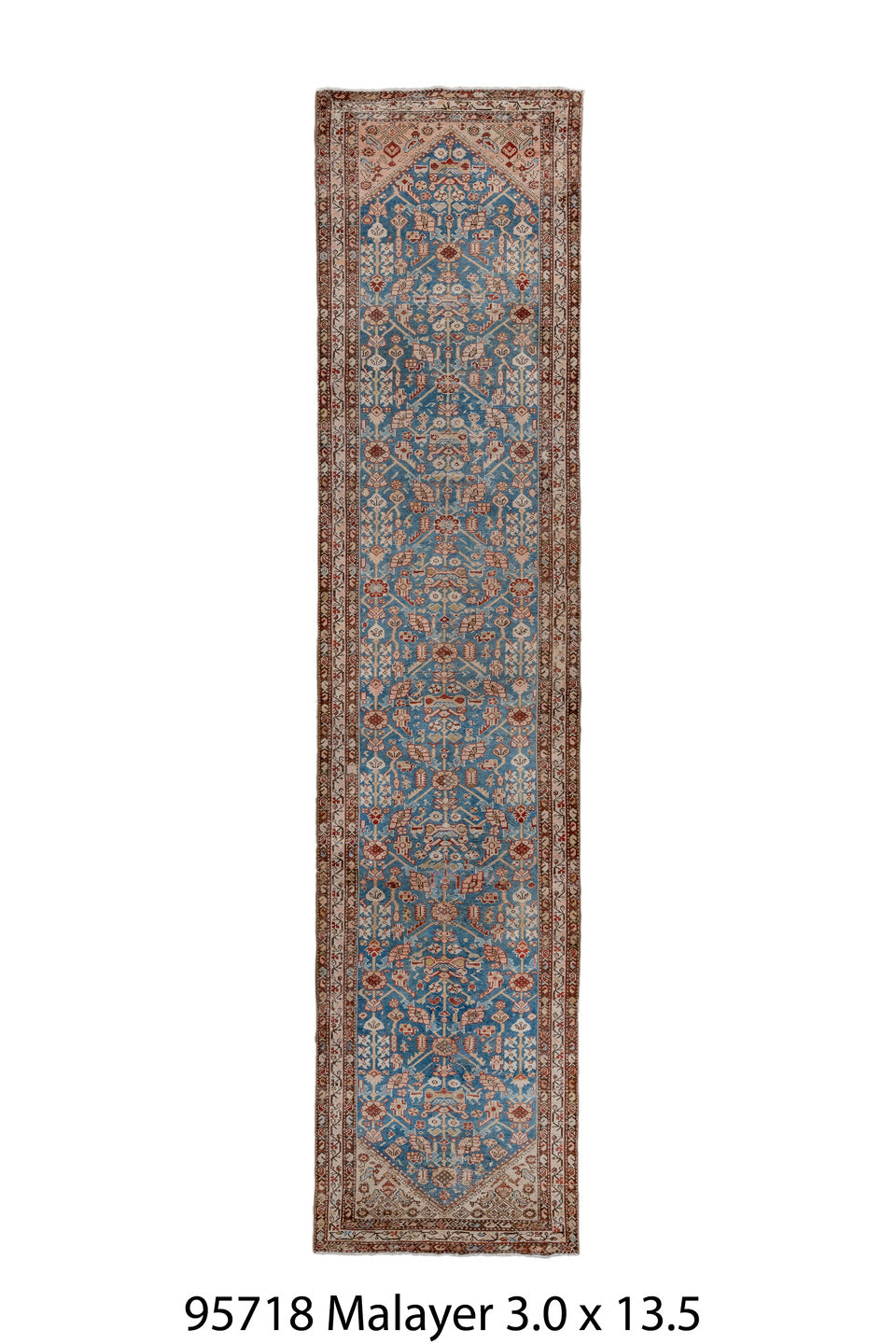 095718 Rug