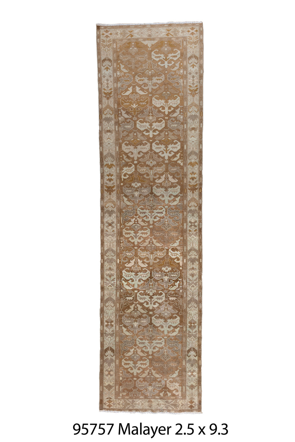 095757 Rug