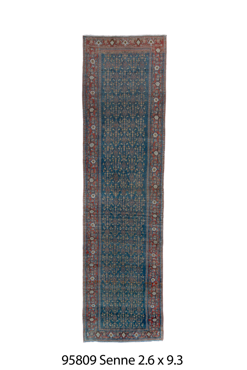 095809 Rug