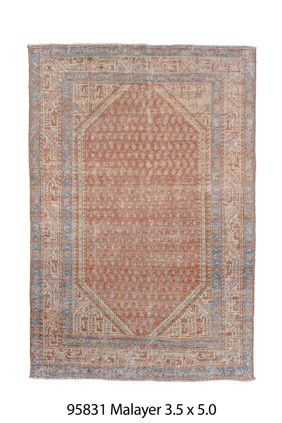 095831 Rug