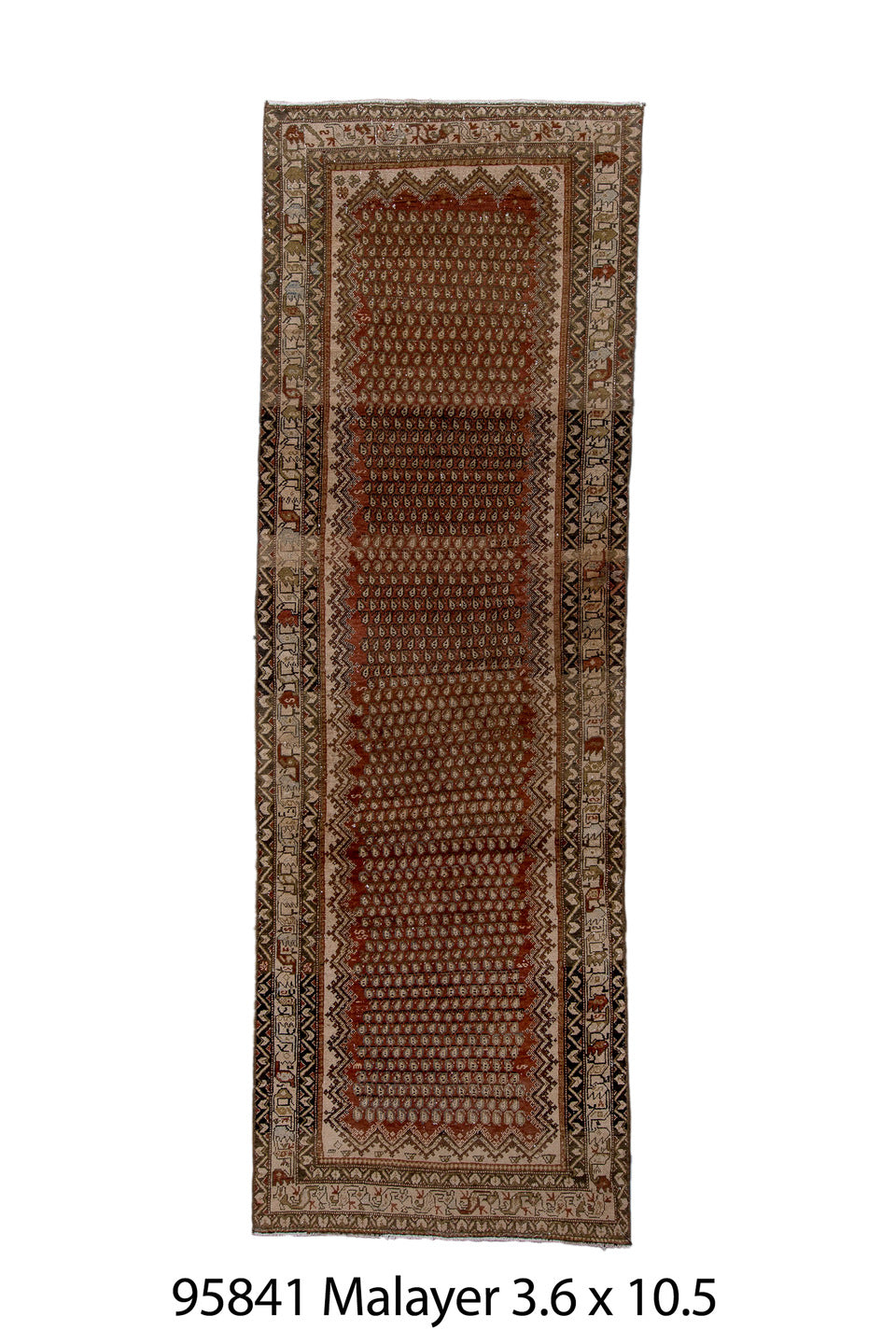 095841 Rug