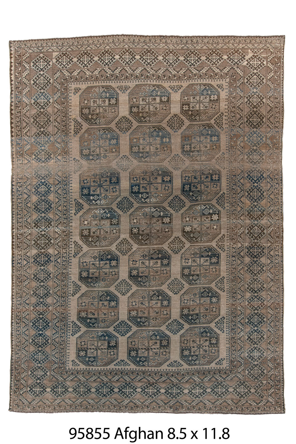 095855 Rug