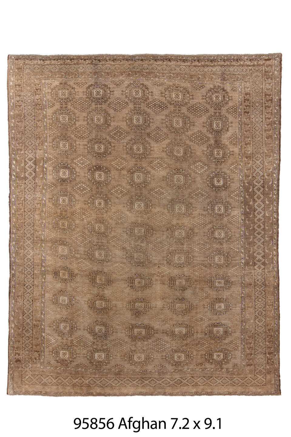 095856 Rug