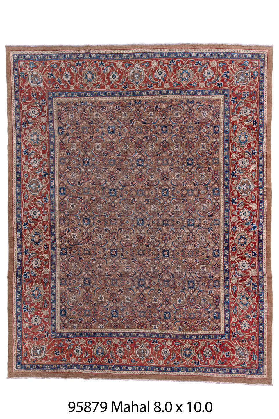 095879 Rug