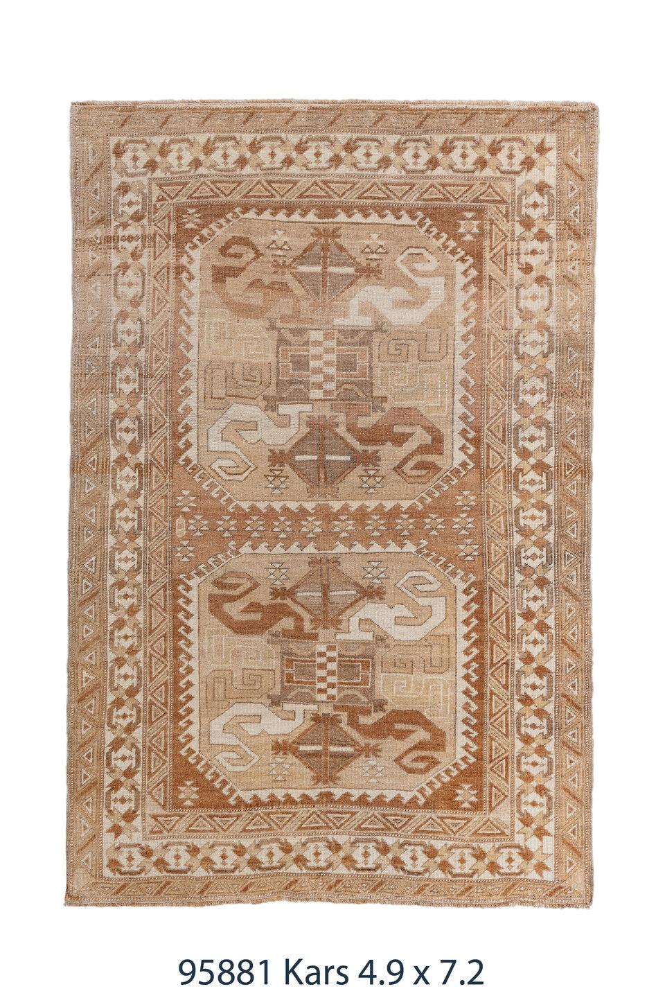 095881 Rug