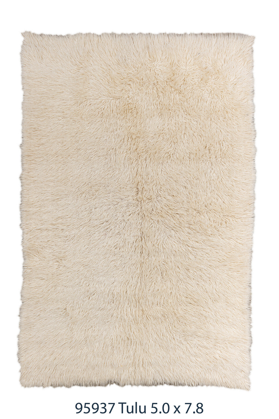 095937 Rug
