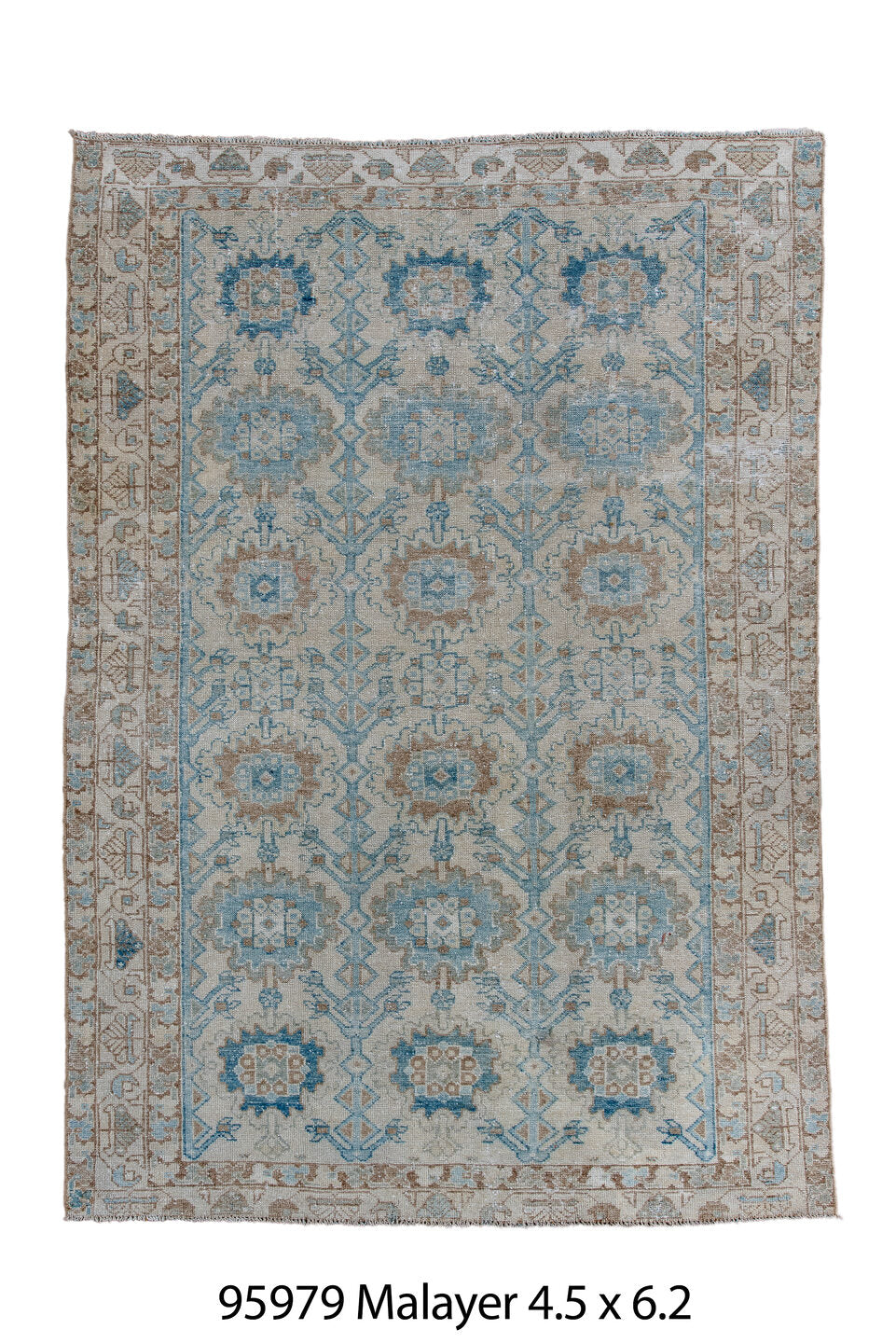 095979 Rug