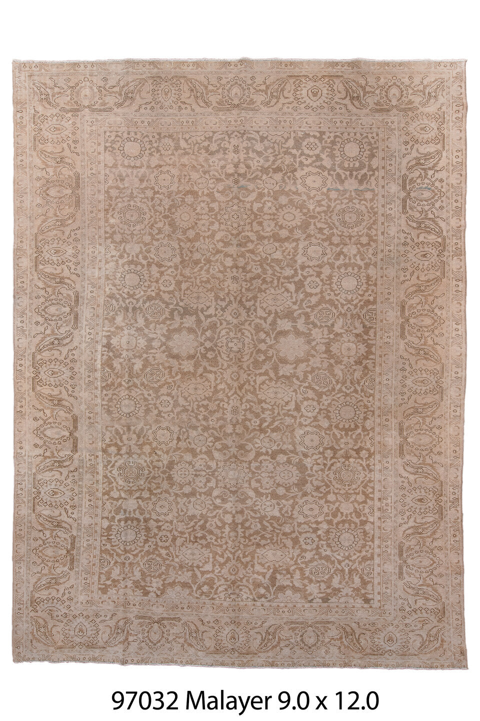 097032 Rug