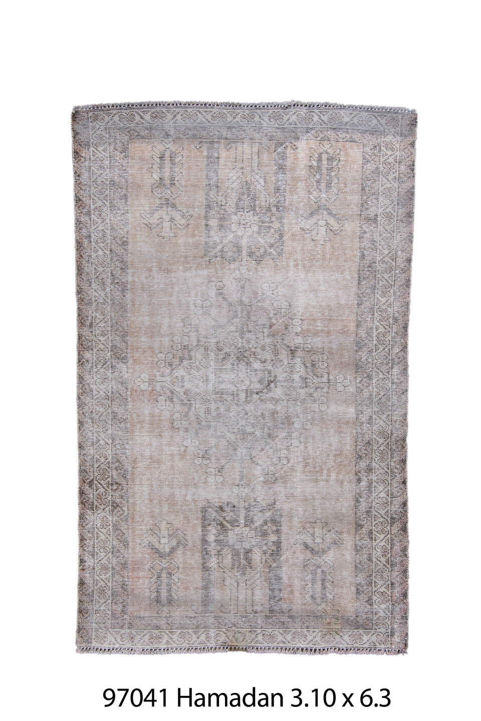 097041 Rug